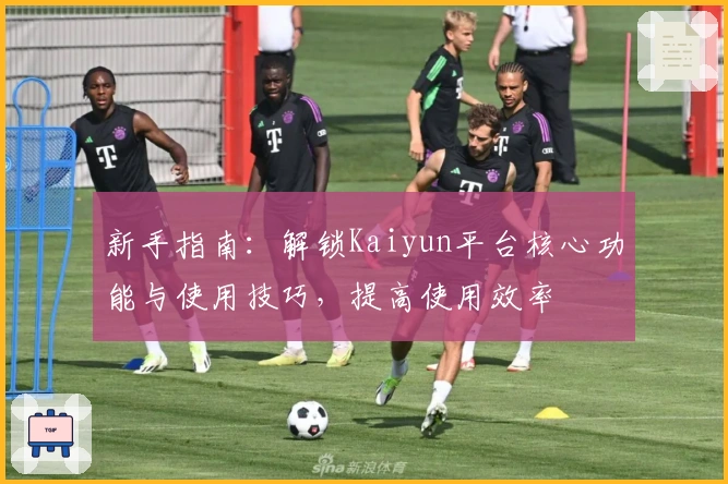 新手指南：解锁Kaiyun平台核心功能与使用技巧，提高使用效率